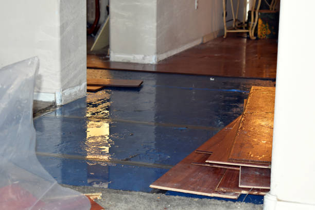 Professional Sewage Cleanup technician working in Wesley, ME